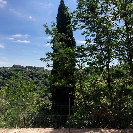 Apartament La Casa All'Oliveto Pitigliano Zewnętrze zdjęcie