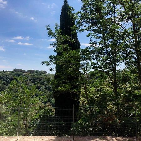 La Casa All'Oliveto Pitigliano Zewnętrze zdjęcie