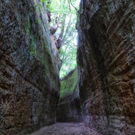La Casa All'Oliveto Pitigliano Zewnętrze zdjęcie
