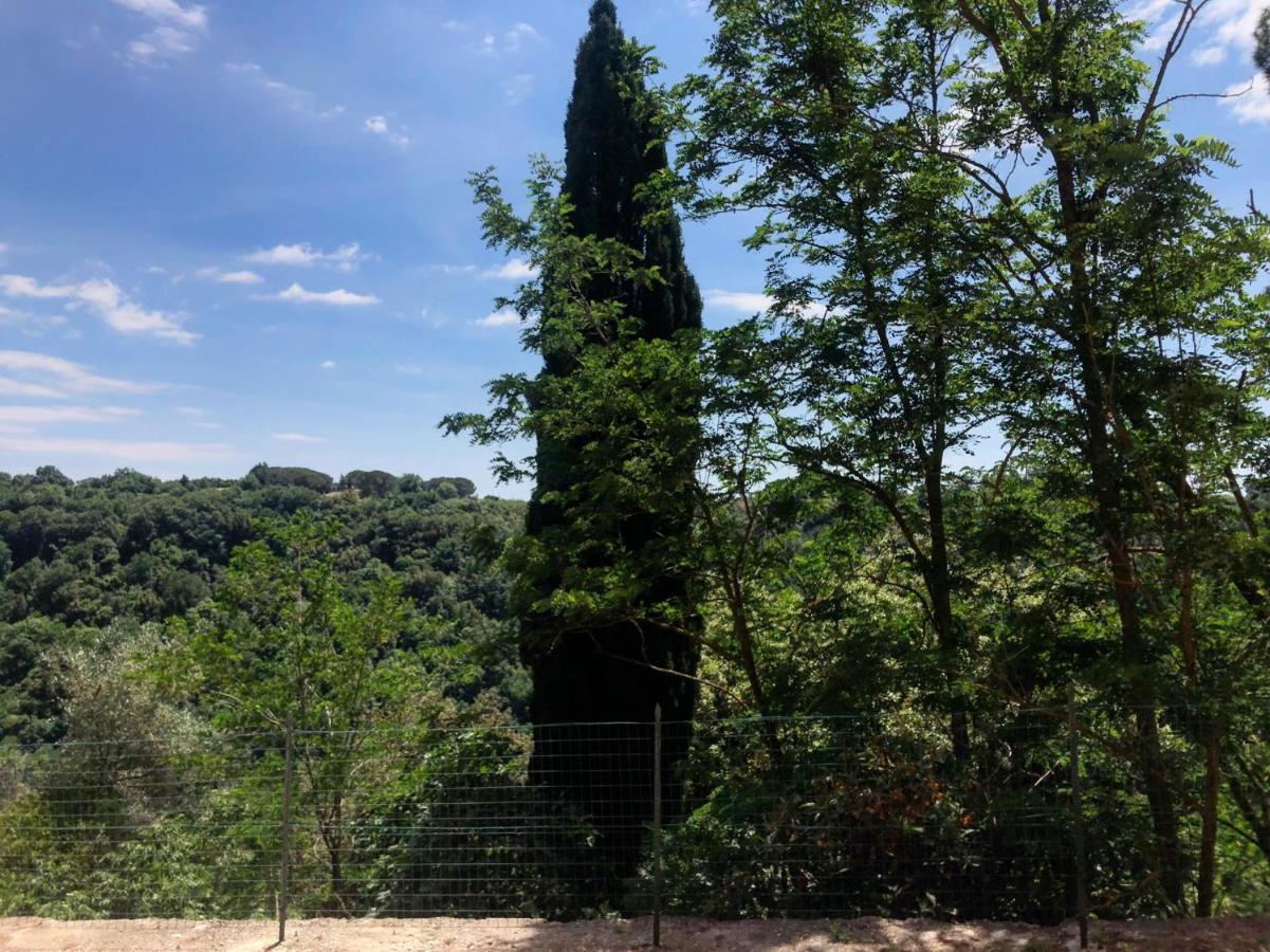 Apartament La Casa All'Oliveto Pitigliano Zewnętrze zdjęcie