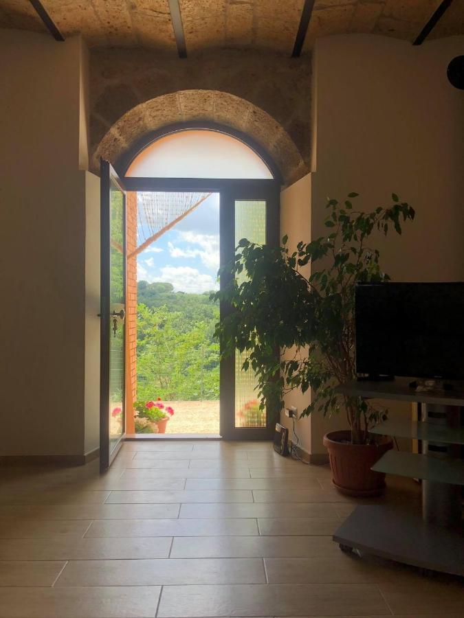 Apartament La Casa All'Oliveto Pitigliano Zewnętrze zdjęcie