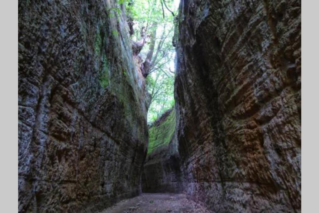La Casa All'Oliveto Pitigliano Zewnętrze zdjęcie